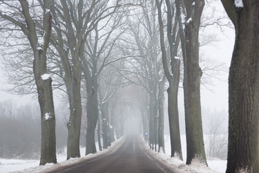 Similar image 10865696