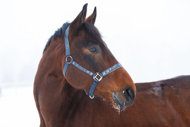 Similar image 10865698