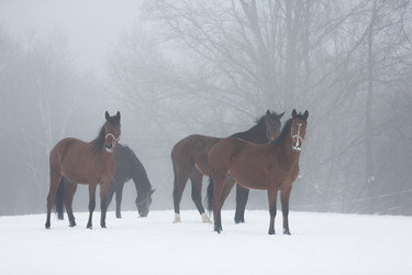 Similar image 10865701