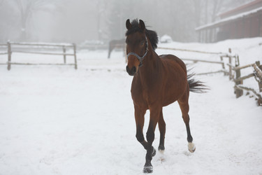 Similar image 10865716