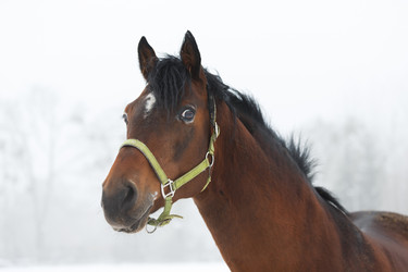 Similar image 10865718