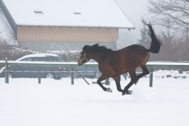 Similar image 10865723