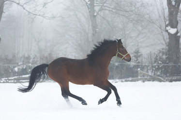 Similar image 10865724