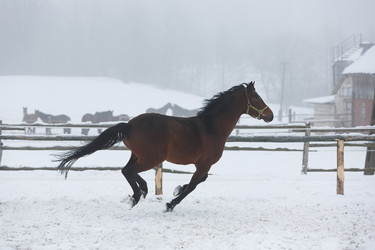 Similar image 10865725