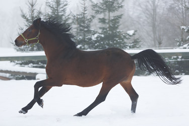 Similar image 10865726