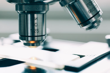 Similar image 10864628