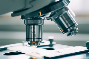 Similar image 10864629