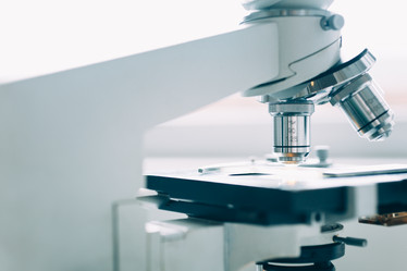 Similar image 10864633