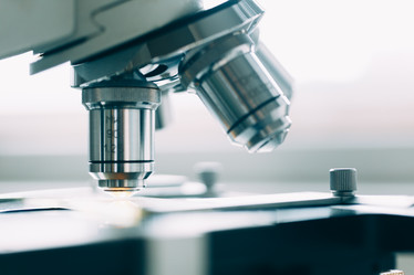 Similar image 10864635