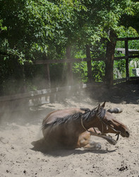 Similar image 10864427