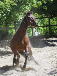 Similar image 10864428