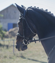 Similar image 10864429