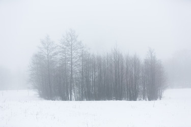 Similar image 10865728