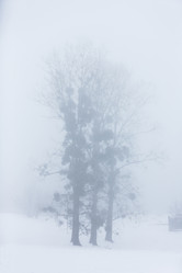 Similar image 10865731