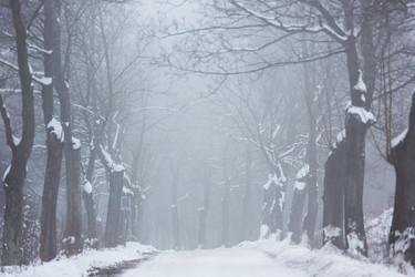 Similar image 10865732