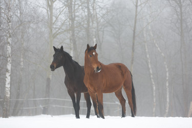 Similar image 10865767