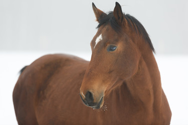 Similar image 10865770