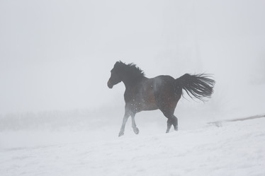 Similar image 10865771