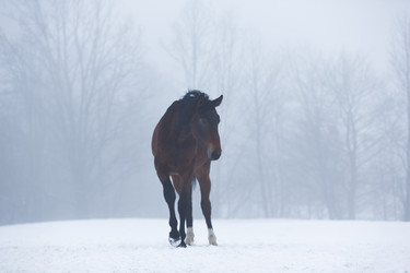 Similar image 10865694