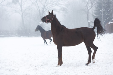 Similar image 10865672