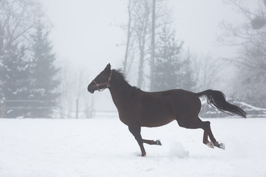 Similar image 10865705