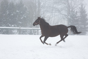 Similar image 10865706