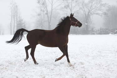 Similar image 10865707