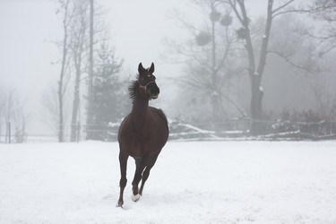 Similar image 10865708