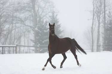 Similar image 10865710