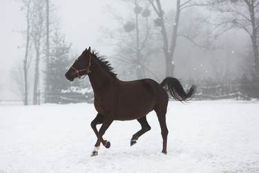 Similar image 10865711