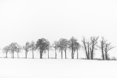 Similar image 10865715