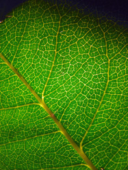 Similar image 10865824