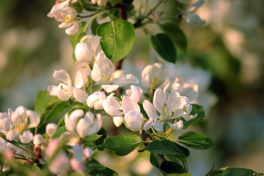 Similar image 10865675