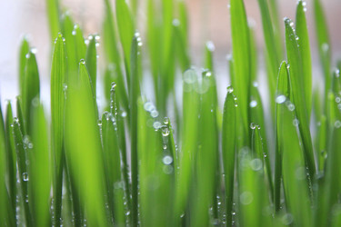 Similar image 10865863