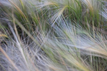 Similar image 10865864