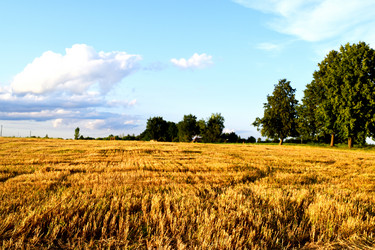 Similar image 10868067