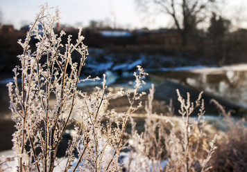 Similar image 10867236