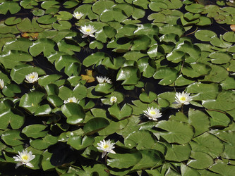 Similar image 10866040