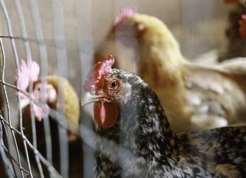 Similar image 10866041