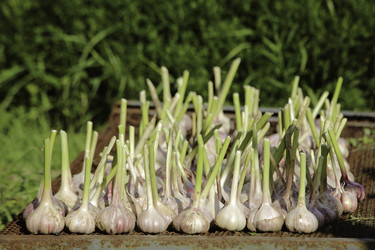 Similar image 10866042