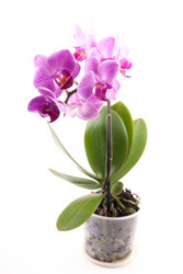 Similar image 10867753