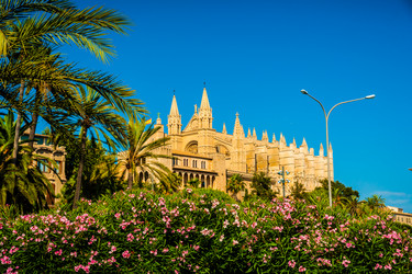 Similar image 10867916