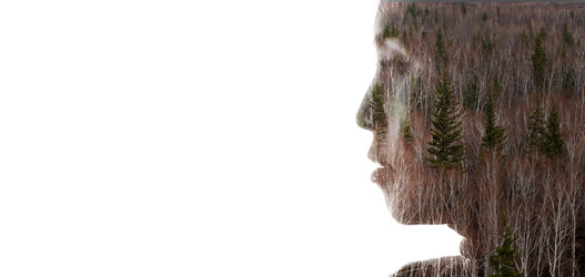 Similar image 10866709