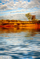 Similar image 10878993