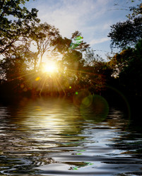 Similar image 10873513