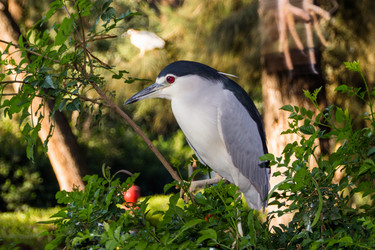 Similar image 10868656