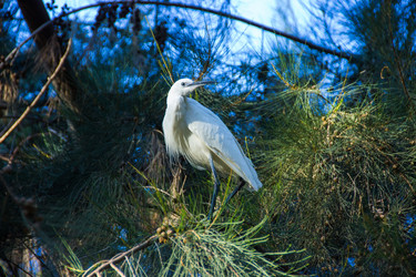 Similar image 10868657