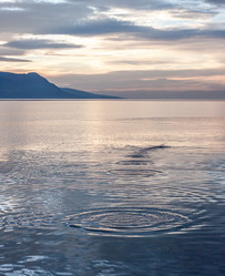 Similar image 10869291