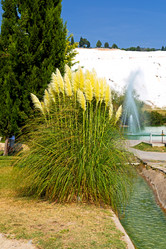 Similar image 10884879