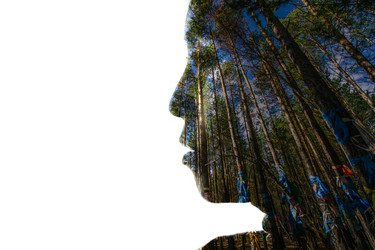 Similar image 10869481